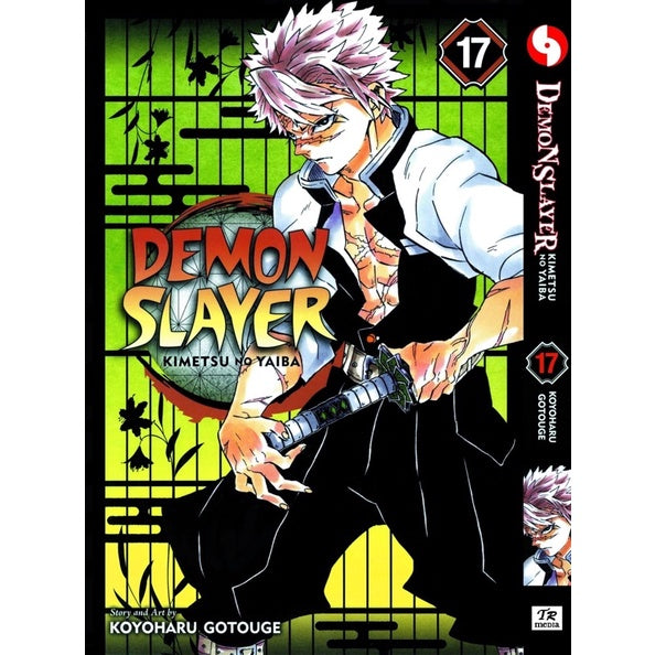 Demon Slayer (English Comics) Vol. 1-23 - 17